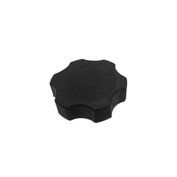 Tapa Frasco Auxiliar Radiador Chevrolet Captiva 2008-2015 Original