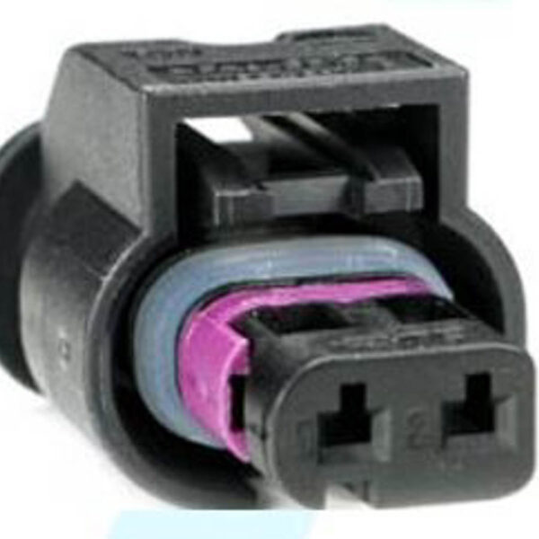 Socket Conector Inyector Forma C 2V Codificado 1450