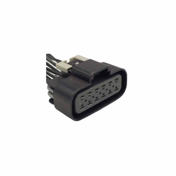 Socket Conector Delphi Gt280 2,8MM 12V Codificado 352